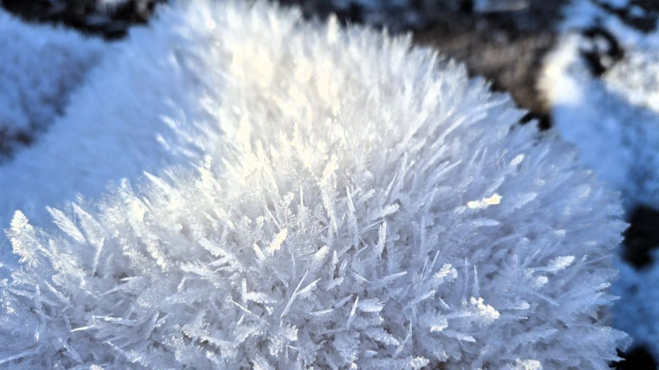 Это природное явление наблюдала сегодня на участке