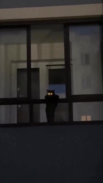 За вами следят...