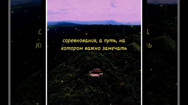 InShot_20251214_174830227.mp4