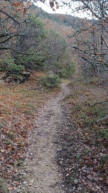 14 декабря прогулка возле Босы