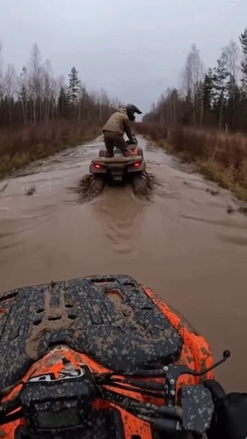 #квадро #покотушки #ИИ