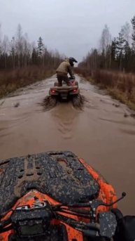 #квадро #покотушки #ИИ