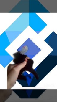 кошка котунья работает в роском надзоре