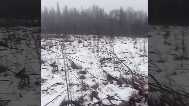 Хороший "улов"