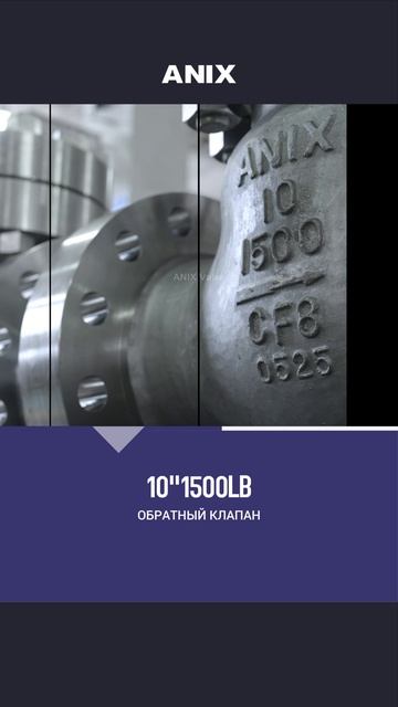 10''1500LB ОБРАТНЫЙ КЛАПАН-ANIX