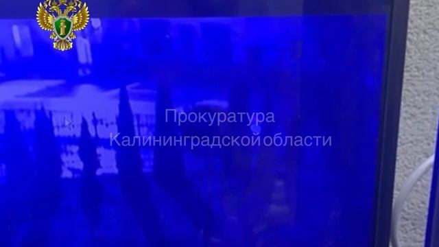 Шакал Анвар сбивший трёх студенток в Калининграде, уже убежал из России