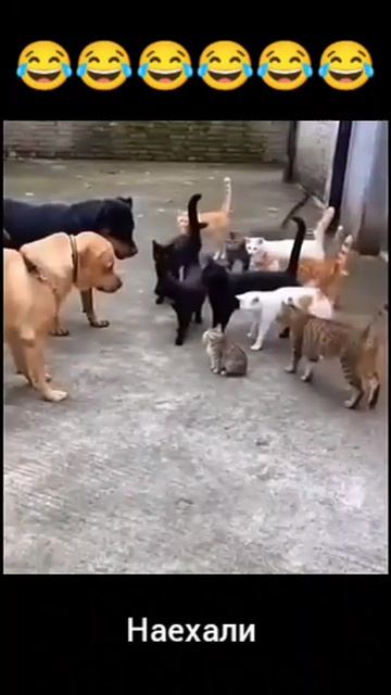 стрела проиграна