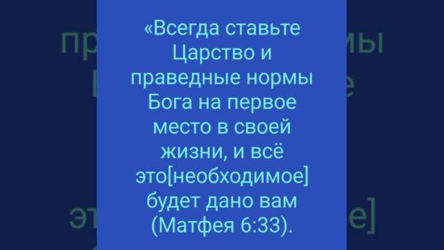 YouCut_20251214_003247712.mp4