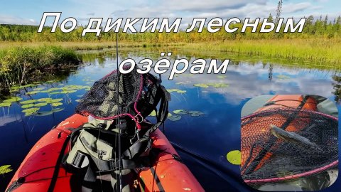 Прогулялся по осеннему лесу.Щука,Окунь,Хариус.Ловил с пакрафта спиннингом