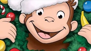 Я ОБЕЗЬЯНА ЗООПАРК