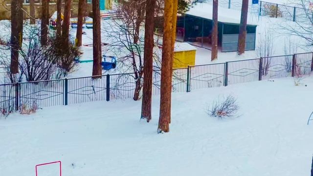 За окнами снежок ❄️❄️❄️