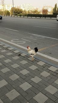 Баку ноябрь 2025