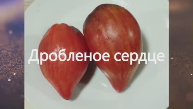 Каталог томатов на 2026 год. Часть 7. СКИДКИ на СЕМЕНА! г. Киров т. 89229284031