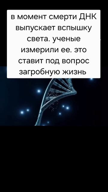 Загробная жизнь