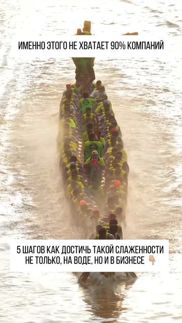 5 шагов как достичь такой слаженности не только на воде, но и в бизнесе