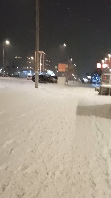 14-12-2025Причуды погоды