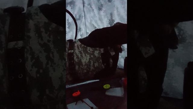 Воскресенье🎣 в Зонке🎣