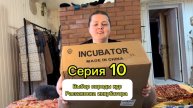 Серия 10. Распаковка китайского инкубатора. Выбор породы кур.