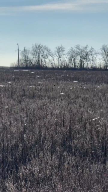 Оптоволоконная стихия