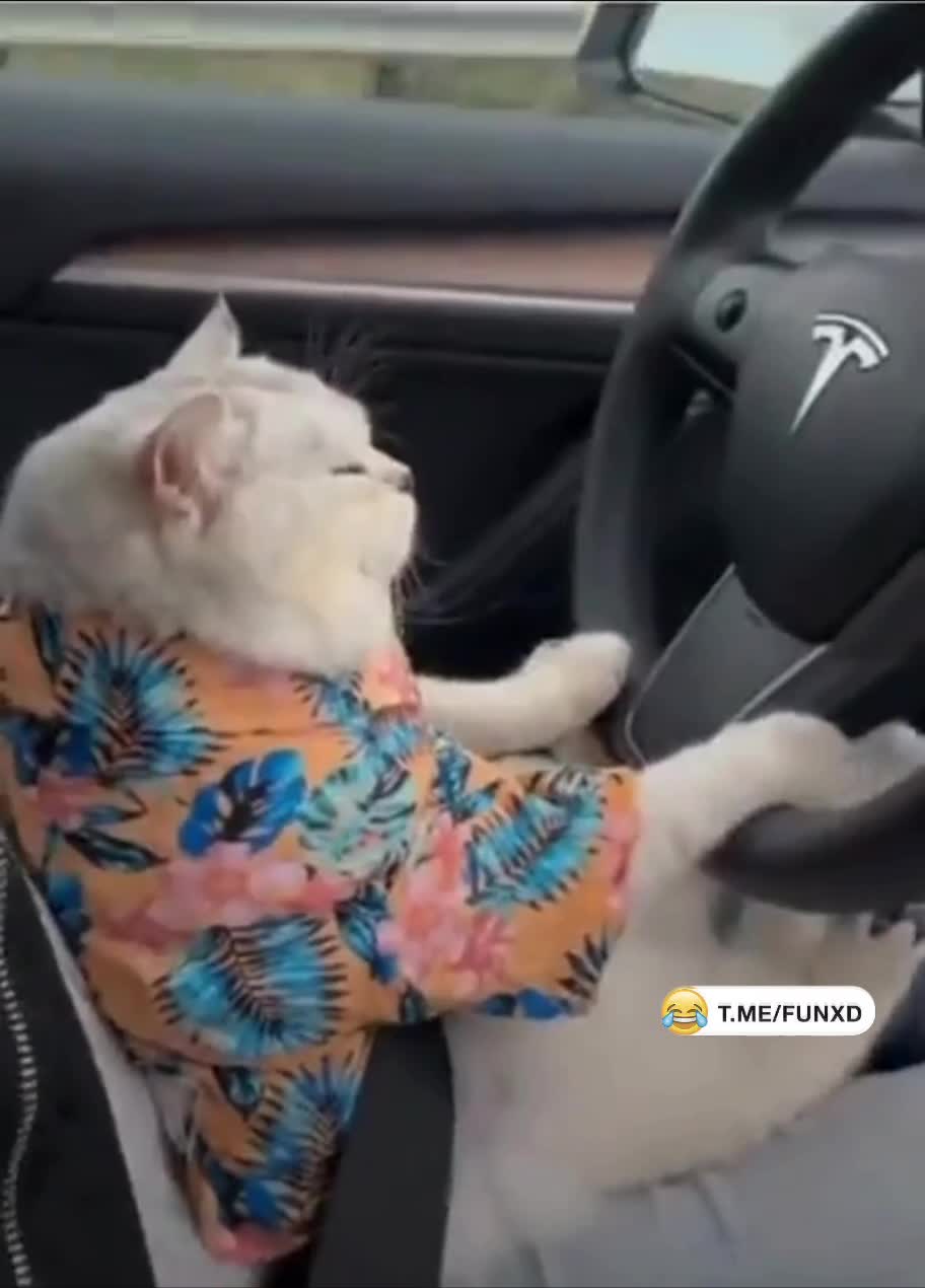 Строгий и состоятельный водитель😄