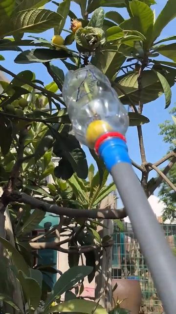 Лайфхаки и хитрости для дома #diy @84398588156