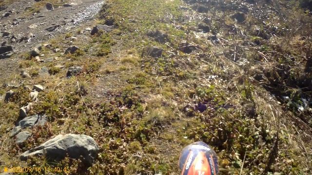 Караколы 2025