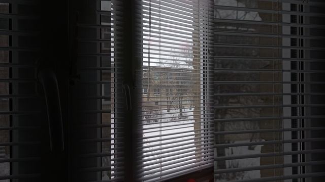 Весь день метель