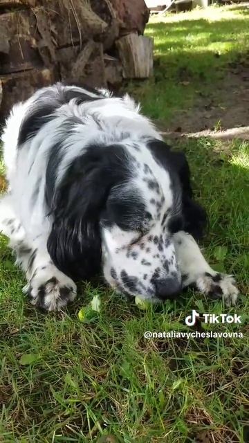 Обалденно!...)))