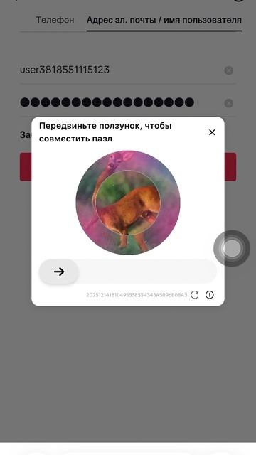 ScreenRecording_12-14-2025 13-09-24_1