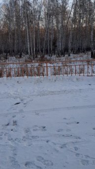 Юрюзань- Екатеринбург(Эвакуация меня)