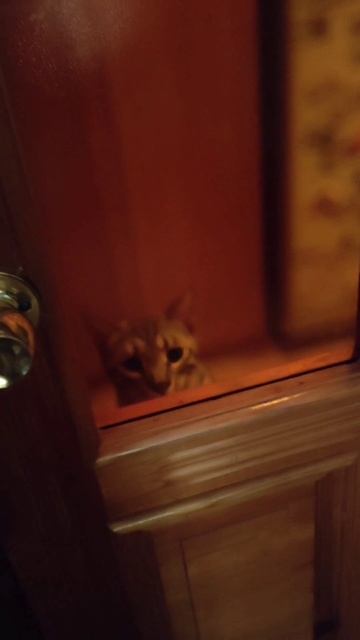 попытка проникновения