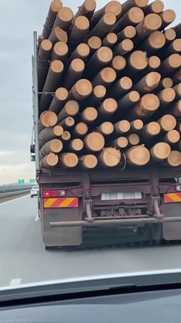 Опаснейшая ошибка на трассе…