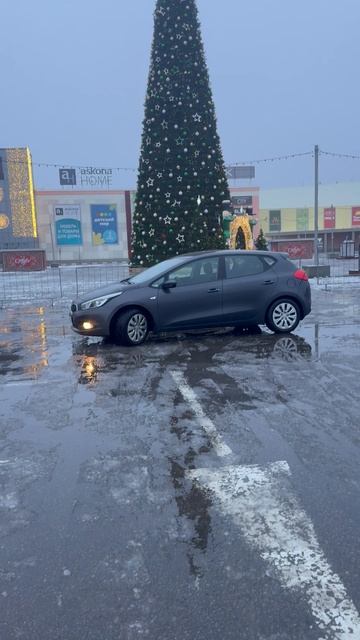 Сити Парк Град 2025 Декабрь