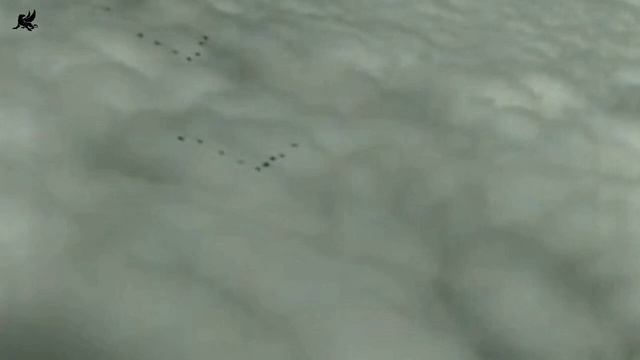 Ангелы Ада.