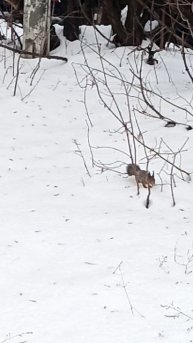 VID_20241222_141244.mp4