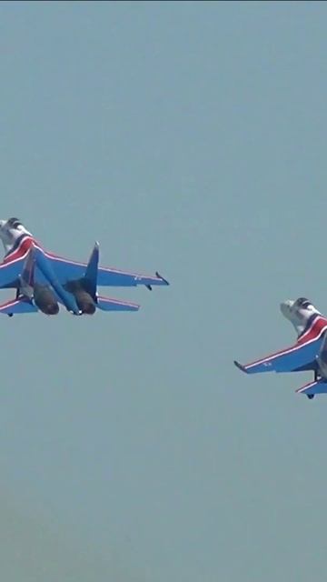 Стрижи будто стражи земли