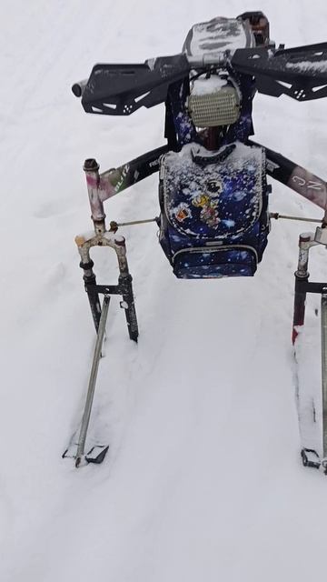 мотосани двигатель тример.mp4