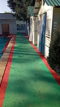 Женьшень в Мостовском