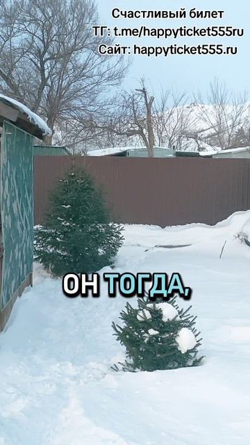 Главный страх Нарцисса