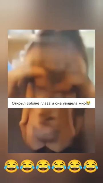 шок от увидиного