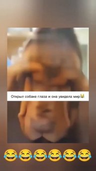 шок от увидиного