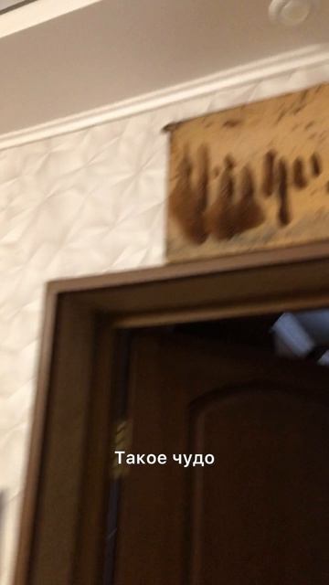 Рустем Ахмеров рассказывает о «природном шамаиле»