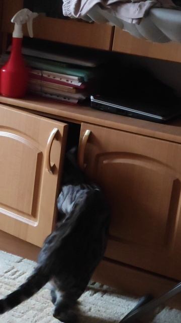 одно из любимых мест