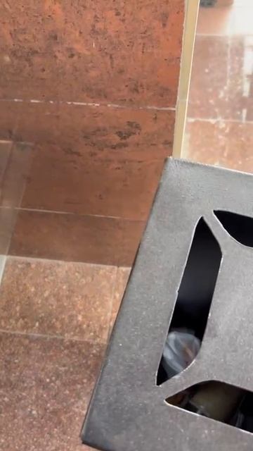 это что такое????🤣🤣🤣🤣🤣