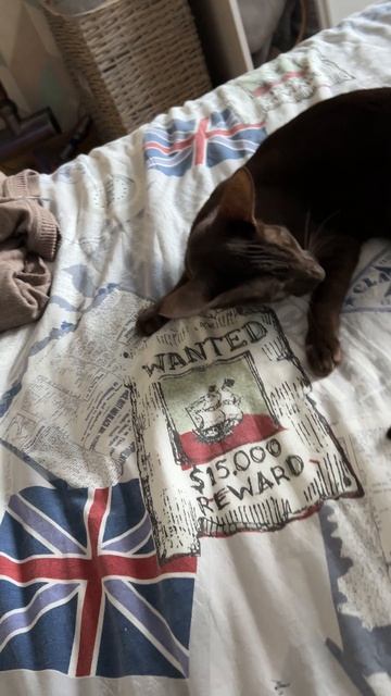 Давай поиграем