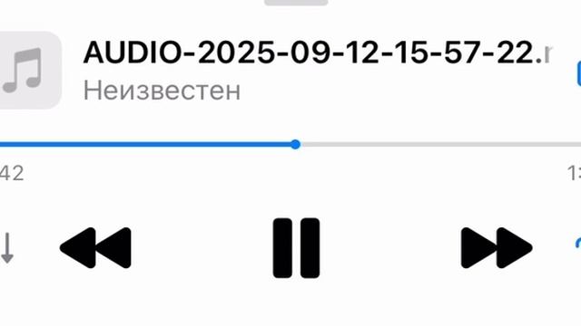 Ирина о бранче