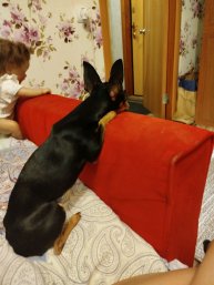 приветик всем