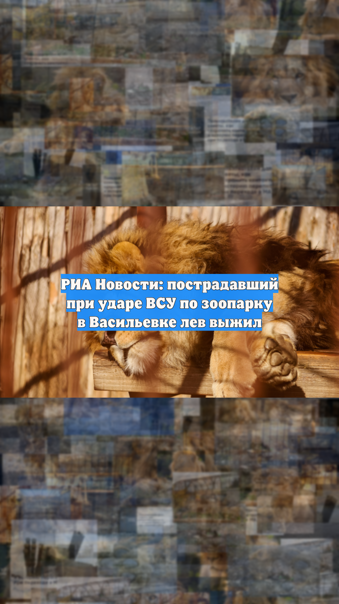 РИА Новости: пострадавший при ударе ВСУ по зоопарку в Васильевке лев выжил
