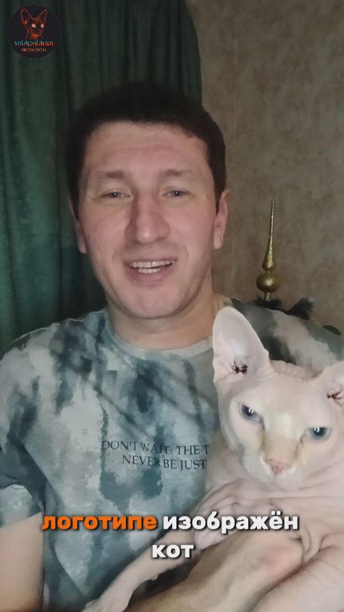 Почему на нашем логотипе кот-сфинкс? 😻 Творческий марафон. 17 день.