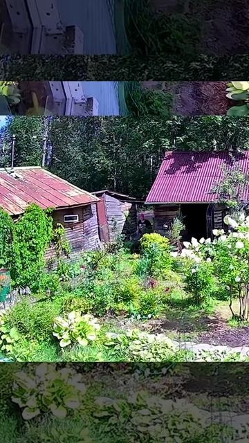 4 августа 2025 г.